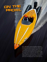P1-28SS Panther Brochure