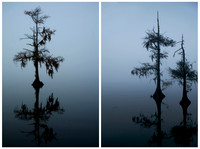 Tattered Silence 1 & 2 Diptych